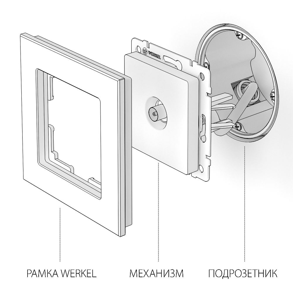 ТВ-розетка встраиваемая проходная Werkel Слоновая кость W1184003 — изображение 4