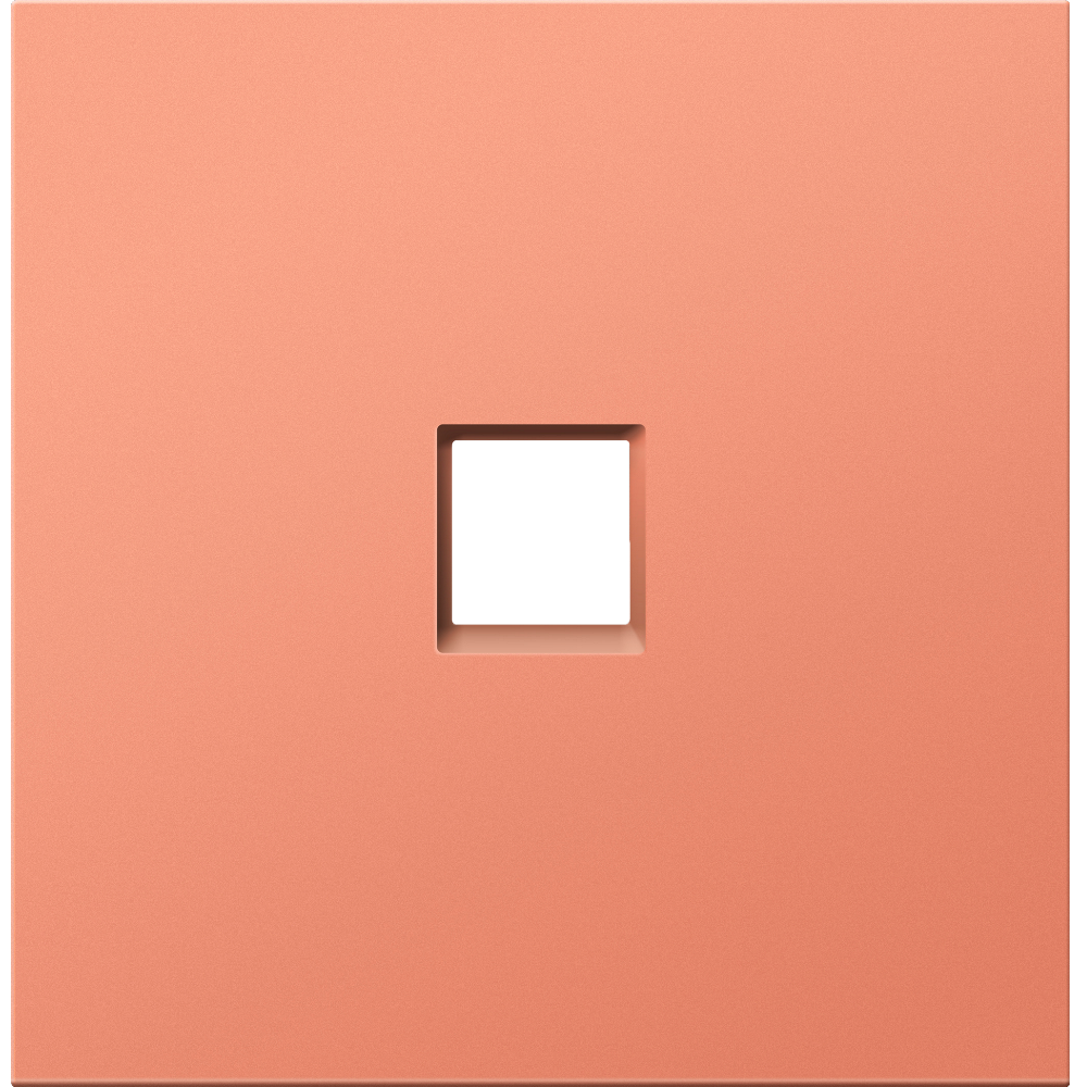 Розетка встраиваемая двойная Ethernet Donel R98 Коралл матовый DA16300-DA83945 — изображение 2